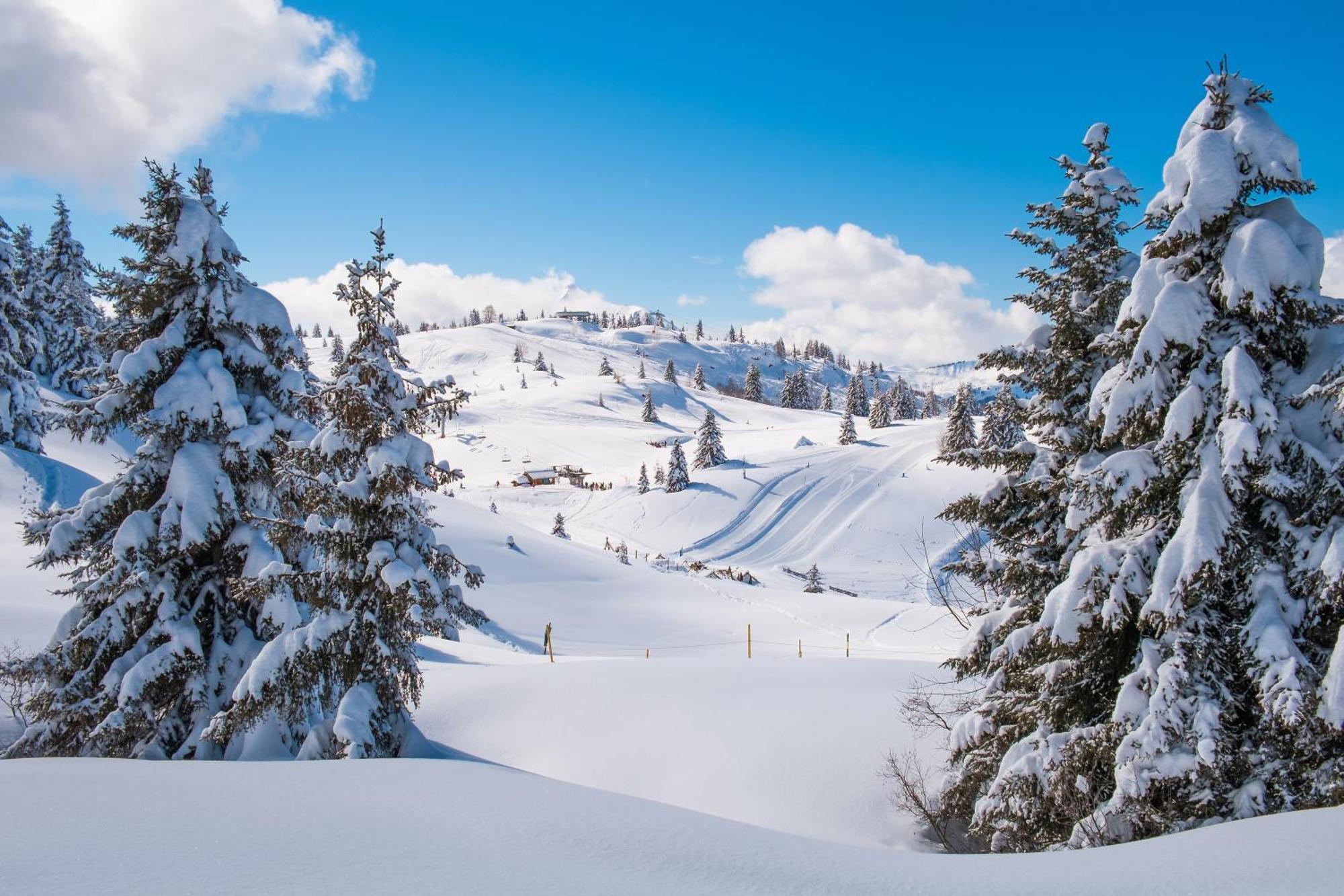 Chalet Anelie Happy Rentals Les Houches Exterior photo